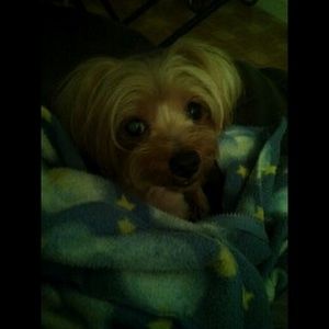 Meet your Posher, Michelle